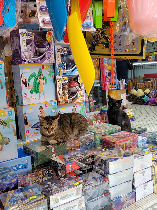 Cats on toys at a children's toy stand